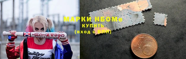 СК Дмитров
