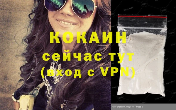 СК Дмитров