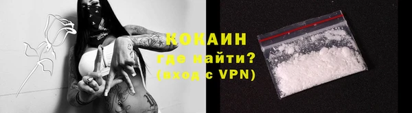 дмт Дмитровск