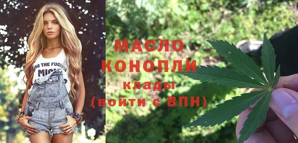 дмт Дмитровск