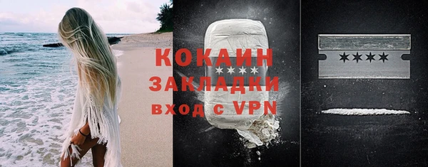 винт Дмитриев