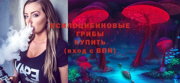 дмт Дмитровск