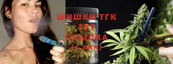 СК Дмитров