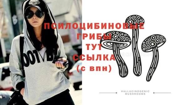 винт Дмитриев
