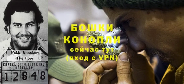 СК Дмитров