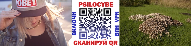 Галлюциногенные грибы Cubensis  Перевоз 